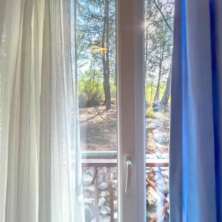 Bed & Breakfast Pydnai_village